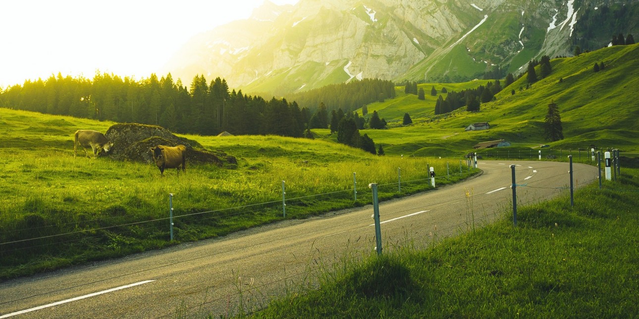 a road in the rural mountains.