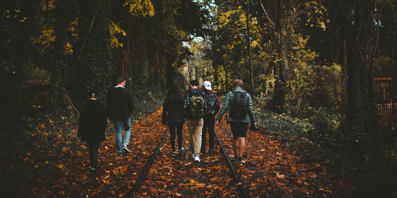 Young men walking on train track in forest