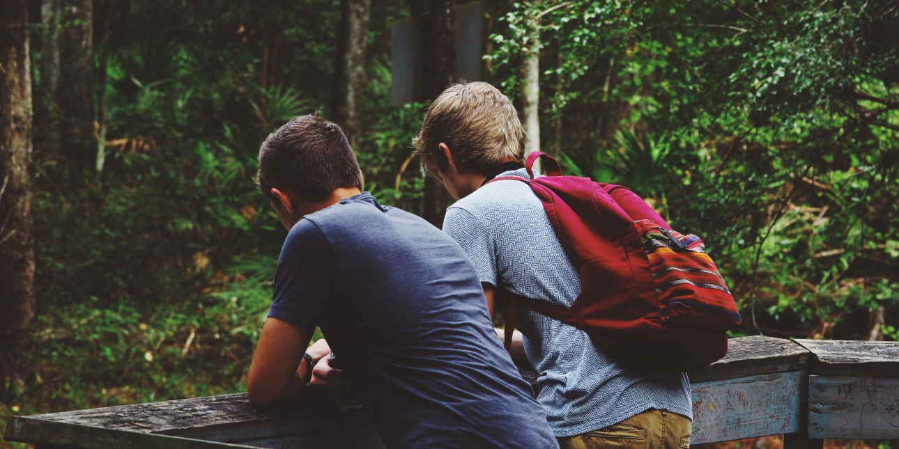 two people looking at trees