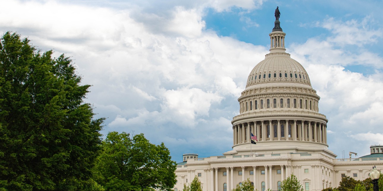 The United States Capitol Building in Washington