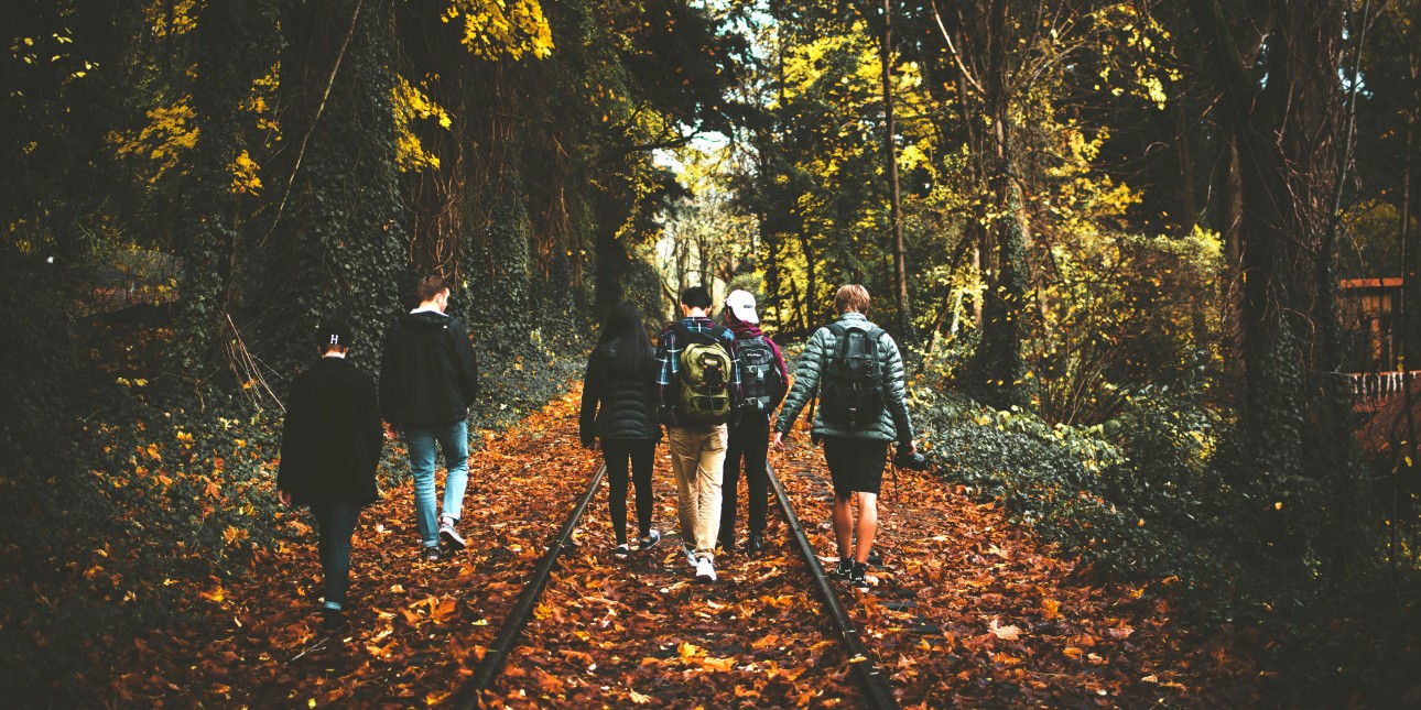 people walking in leaves