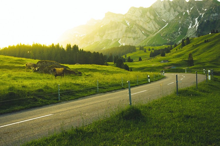 a road in the rural mountains.