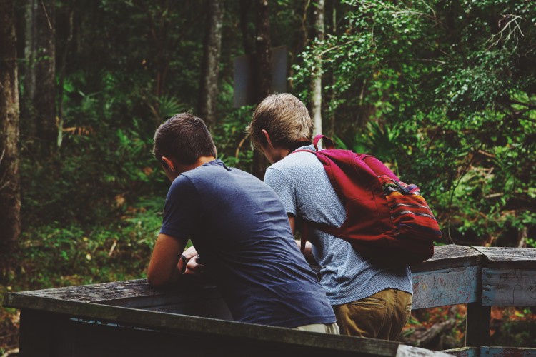 two people looking at trees