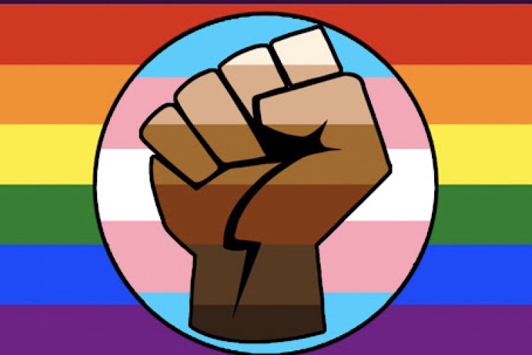 illustration of a pride flag with an overlay of the trans pride flag in a circle with a black fist