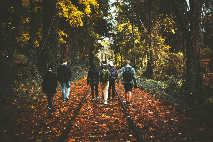 people walking in leaves